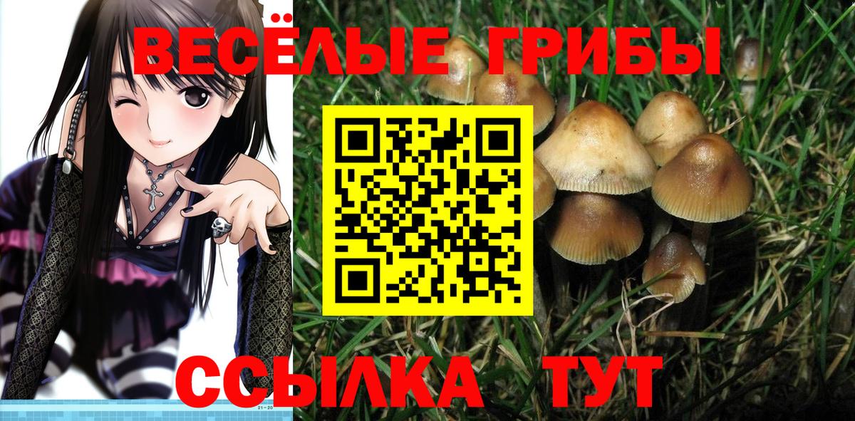 Магнитогорск  Псилоцибиновые грибы MAGIC MUSHROOMS  Вход с VPN 